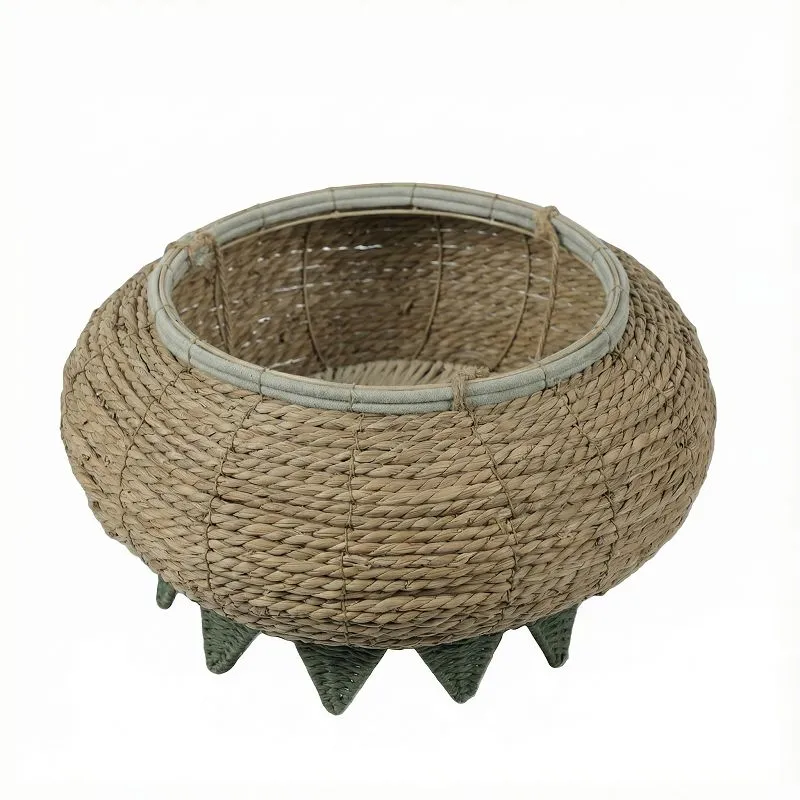 product-800-800